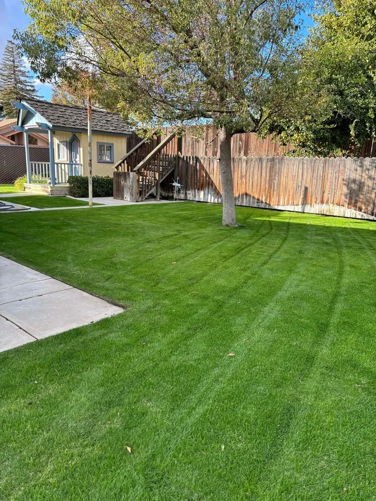 Professional lawn care service experts serving Bakersfield, CA - WA Lawn Care