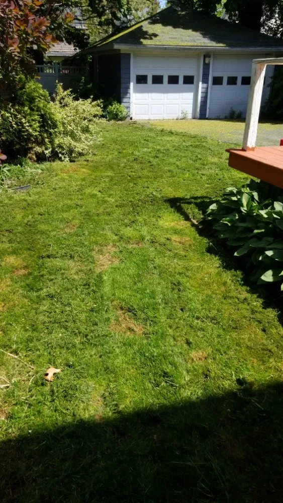 Custom garden landscaping in Rochester, NY by Waal Lawns Care