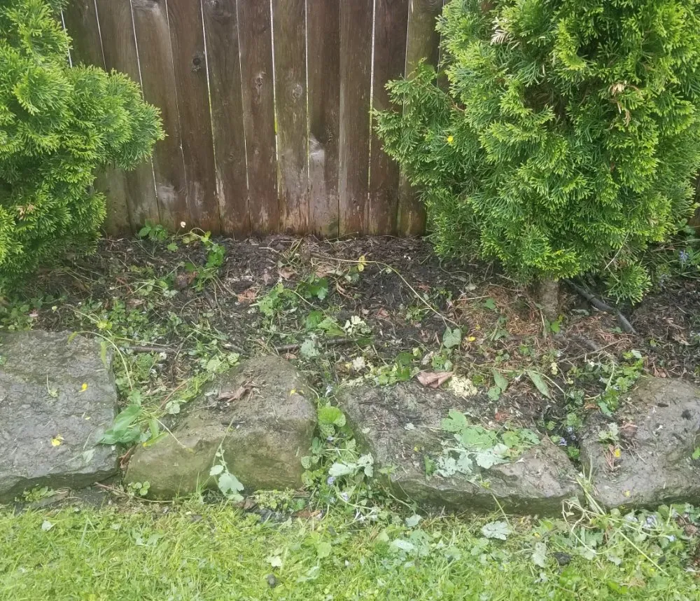 Trusted yard cleanup service for homes in Rochester, NY by Waal Lawns Care