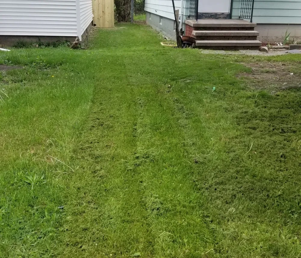 Local residential landscaping for residential properties across Rochester, NY - Waal Lawns Care