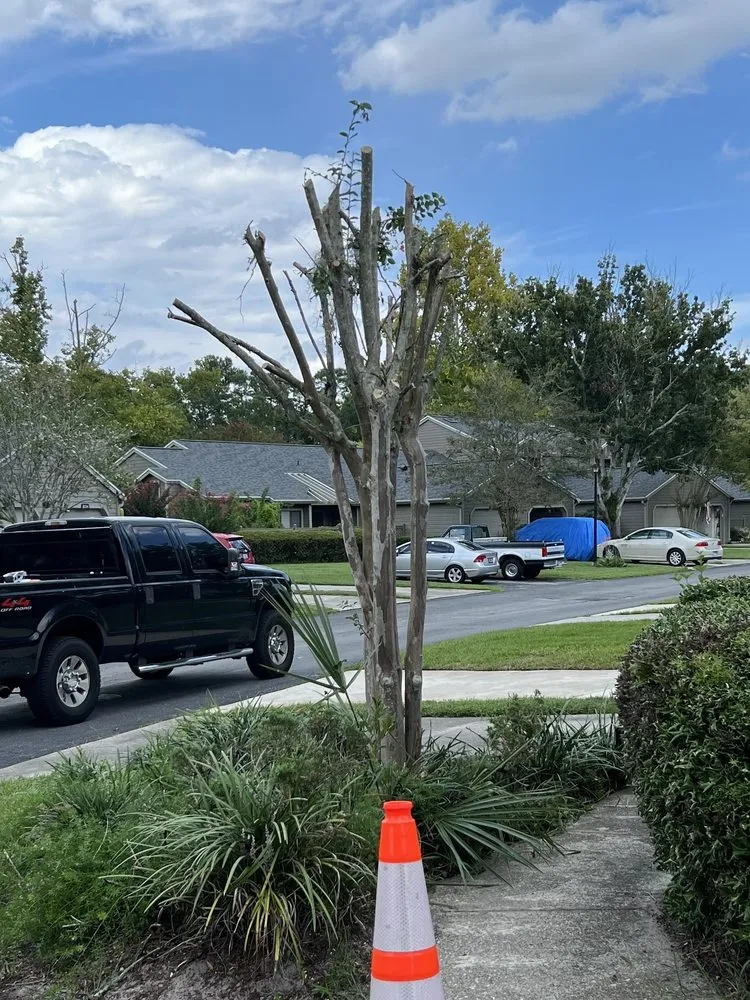 Local garden landscaping experts serving jax, FL - Wacca Pilatka