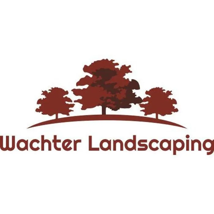 Trusted lawn care service for year-round maintenance across Rosemount, MN - Wachter Landscaping