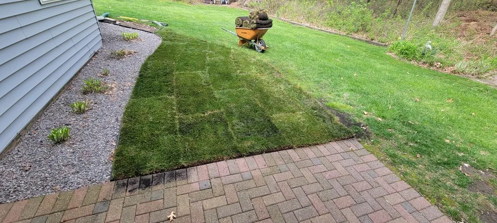 Custom landscaping services experts serving Rosemount, MN - Wachter Landscaping