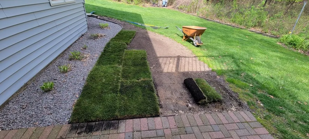 Custom lawn mowing service in Rosemount, MN by Wachter Landscaping