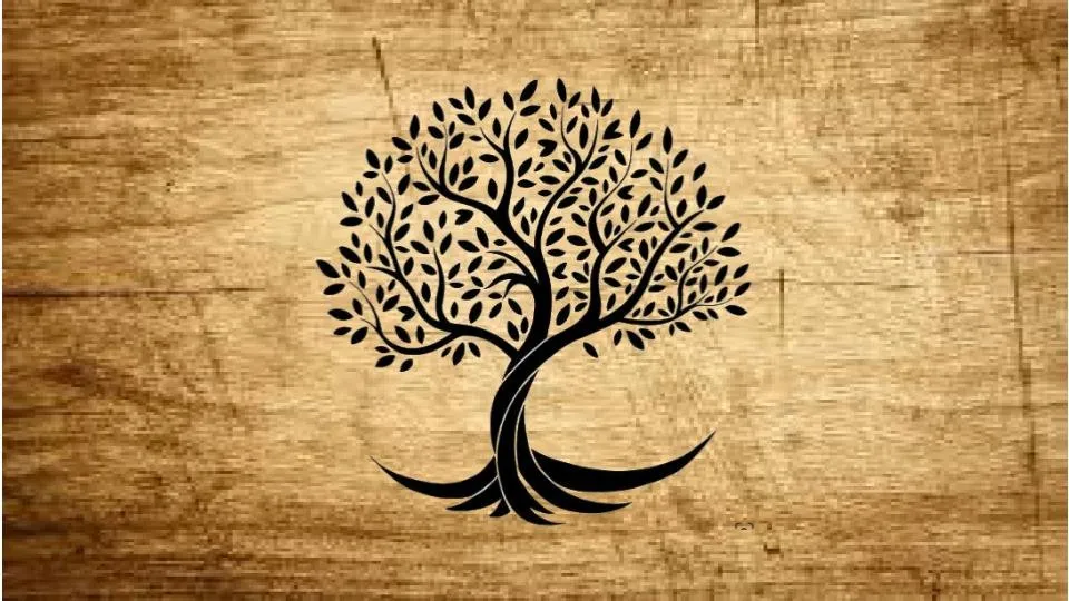 Professional lawn mowing service in Leander, TX by WACK'D Jobs