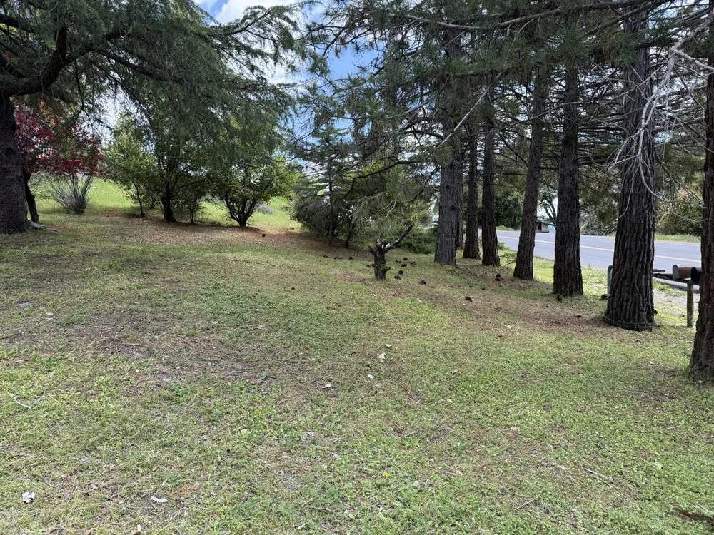 Expert landscaping services experts serving Sonora, CA - Wacky Weedeating