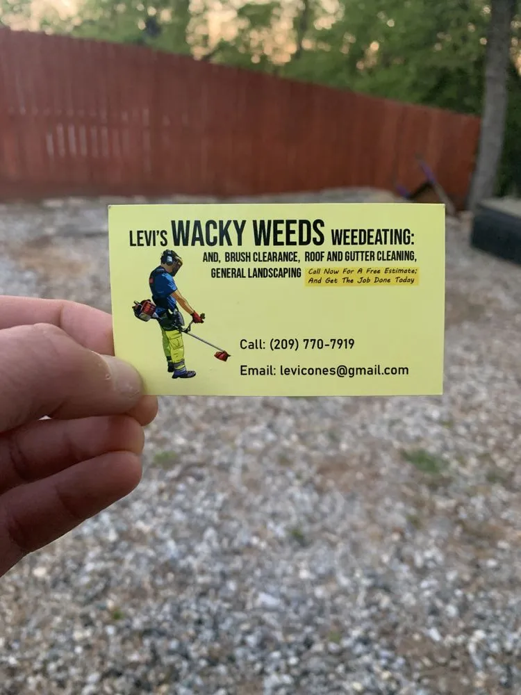 Top-rated landscaping services for beautiful yards in Sonora, CA by Wacky Weedeating