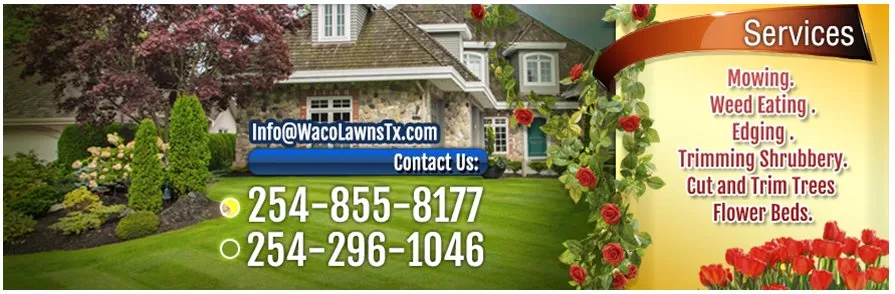 Local lawn care service for beautiful yards across Waco, TX - Waco Lawns