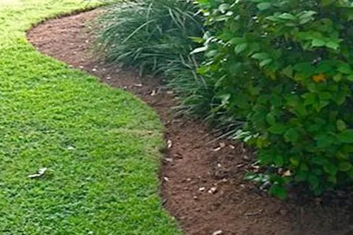 Reliable lawn care service in Waco, TX by Waco Lawns