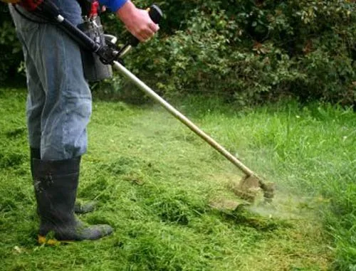 Custom yard maintenance in Waco, TX by Waco Lawns