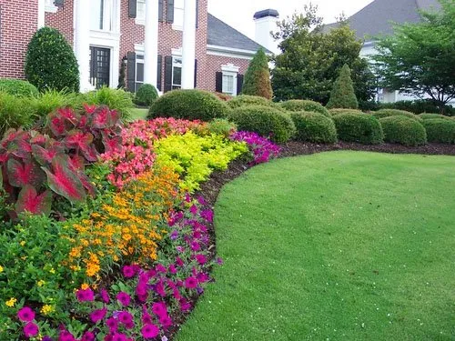 Professional lawn mowing service for year-round maintenance across Waco, TX - Waco Lawns