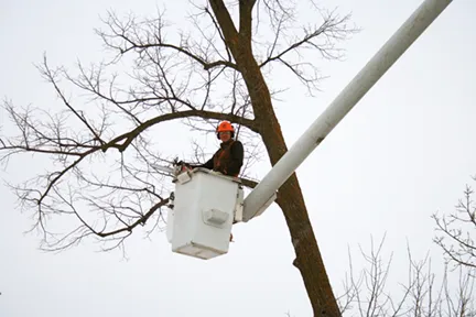 Trusted landscape installation experts serving Waco, TX - Waco Lawns