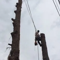 Top-rated landscape installation in Waco, TX by Waco Lawns