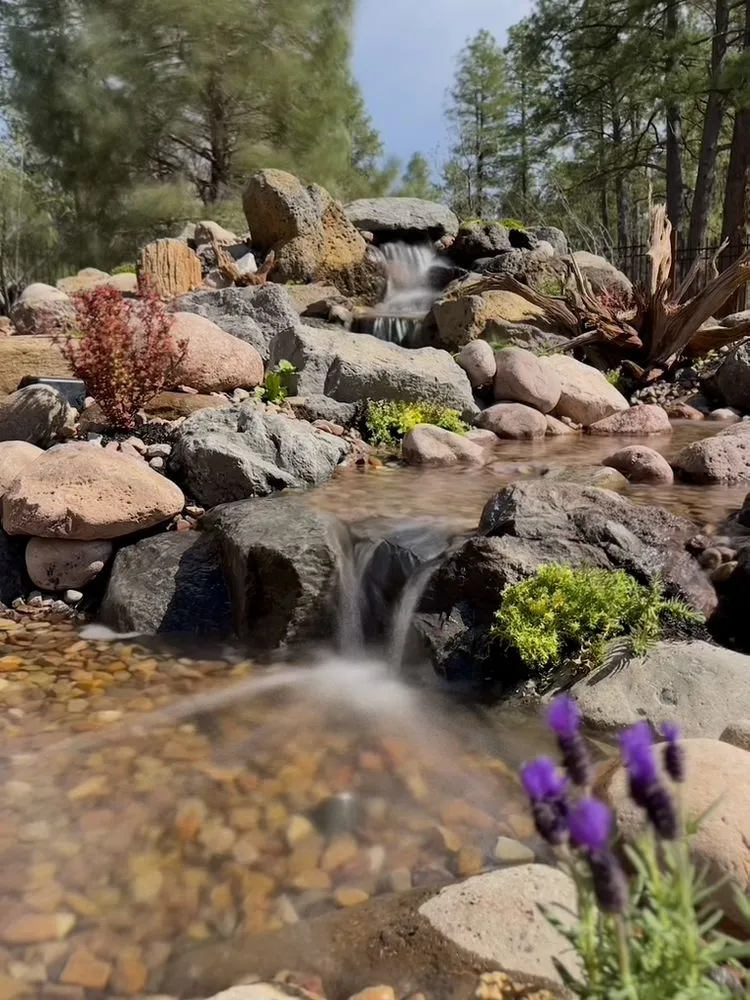 Local yard maintenance experts serving Lorena, TX - Waco Oasis and Waterfall