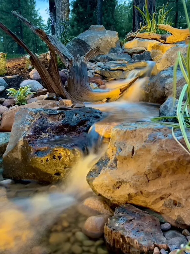 Local yard cleanup service experts serving Lorena, TX - Waco Oasis and Waterfall