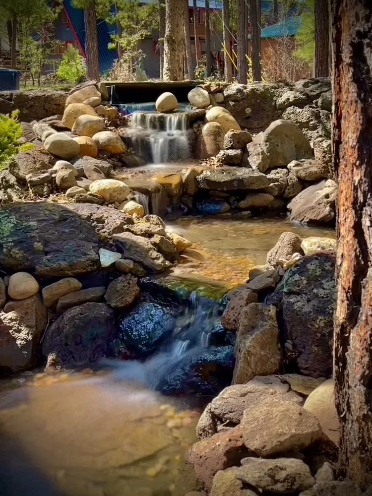 Top-rated yard cleanup service in Lorena, TX by Waco Oasis and Waterfall