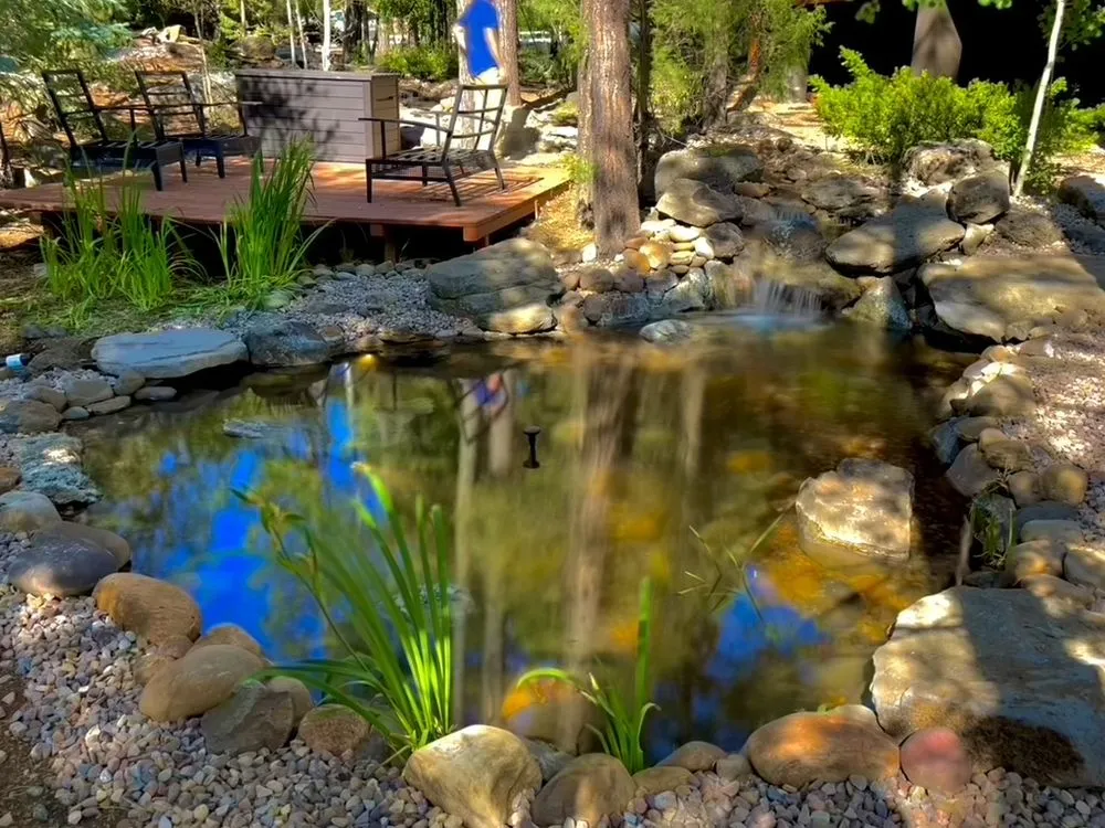 Top-rated residential landscaping in Lorena, TX by Waco Oasis and Waterfall