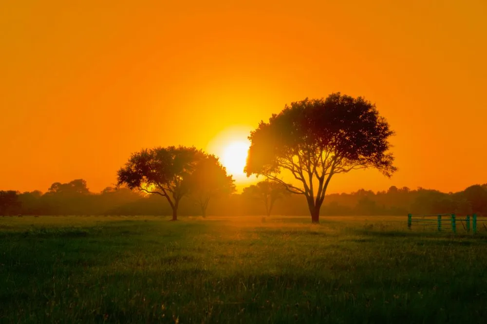 Expert landscape installation in Waco, TX - Waco Tree & Lawn Care Solutions