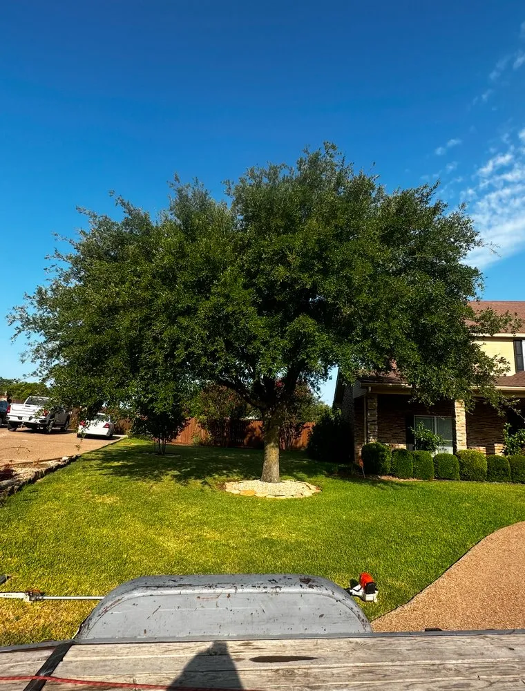 Professional garden landscaping in Waco, TX by Waco Tree & Lawn Care Solutions