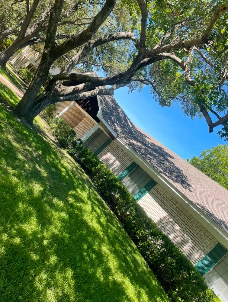 Expert yard maintenance in Waco, TX - Waco Tree & Lawn Care Solutions