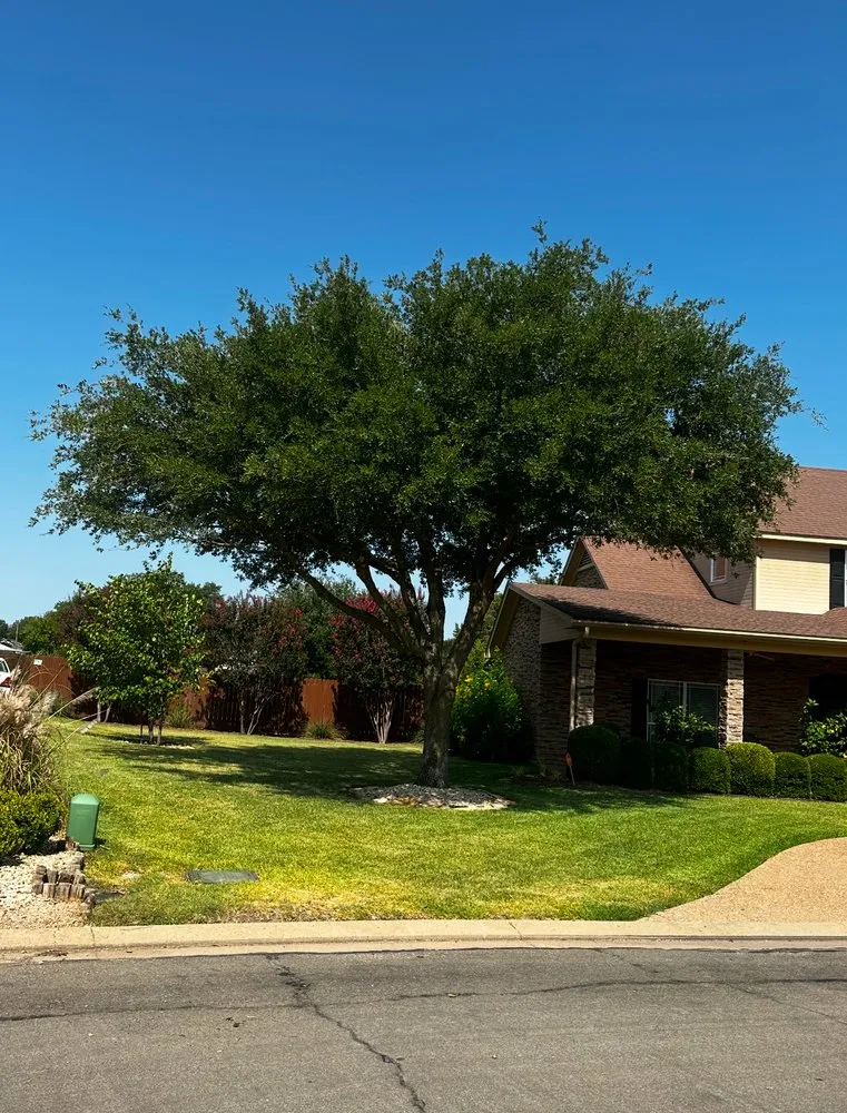 Top-rated garden landscaping in Waco, TX by Waco Tree & Lawn Care Solutions