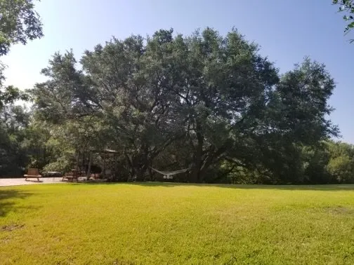 Reliable lawn care service with custom design across Waco, TX - Waco Tree & Lawn Care Solutions