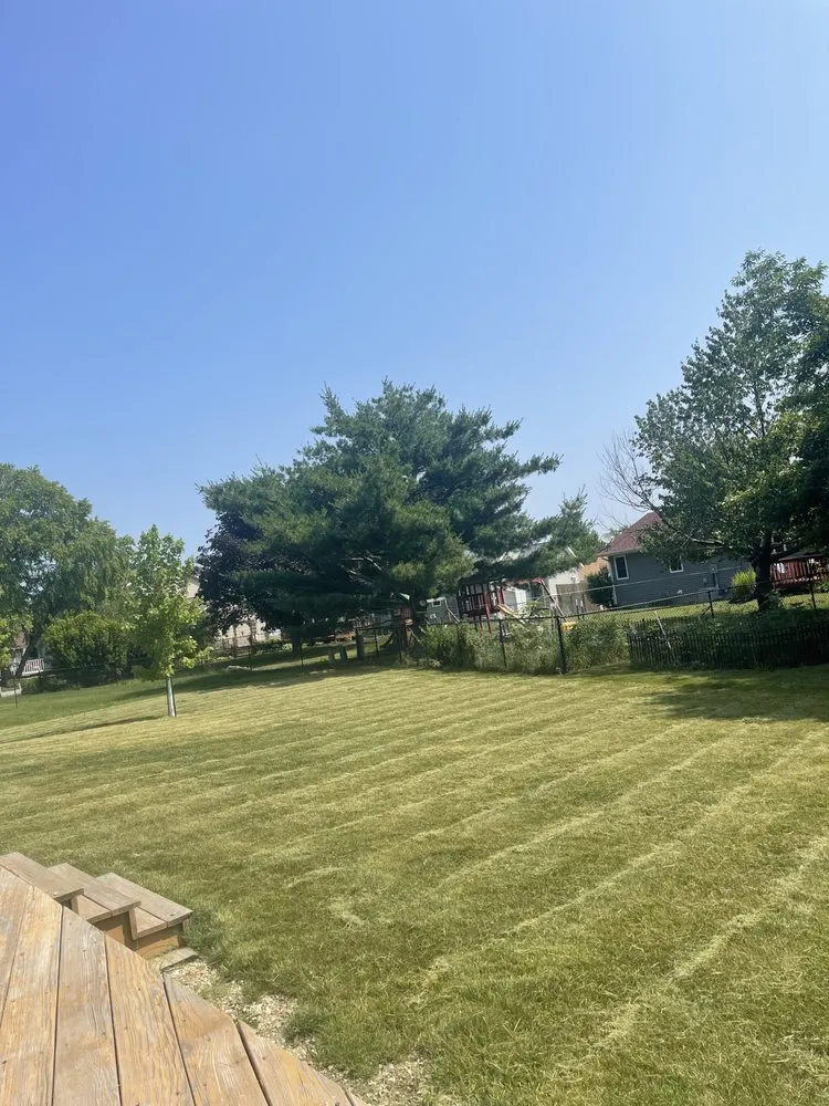 Top-rated lawn care service experts serving Marion, IA - Waddells Lawn Care