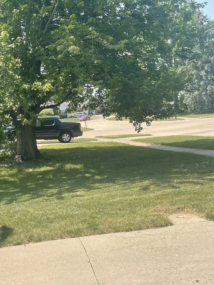 Expert landscape installation for year-round maintenance across Marion, IA - Waddells Lawn Care