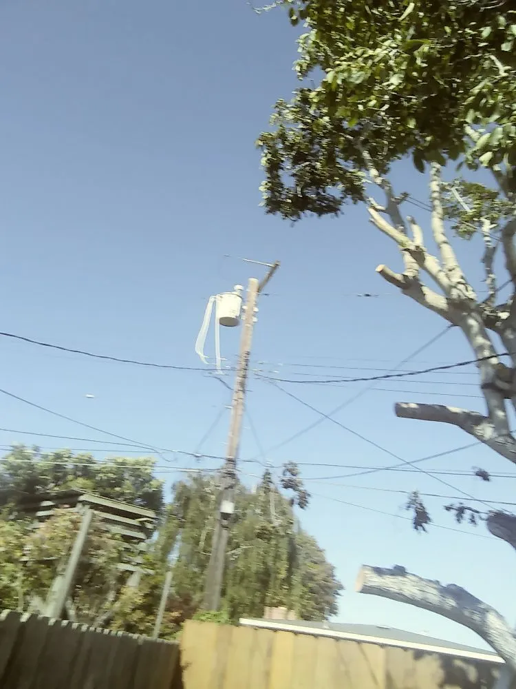 Custom landscape installation for year-round maintenance in Salinas, CA by Waddell's Yard & Tree Service