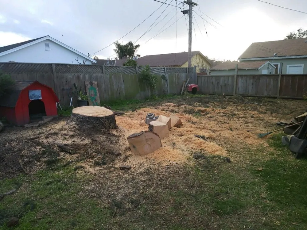 Trusted lawn care service for year-round maintenance across Salinas, CA - Waddell's Yard & Tree Service