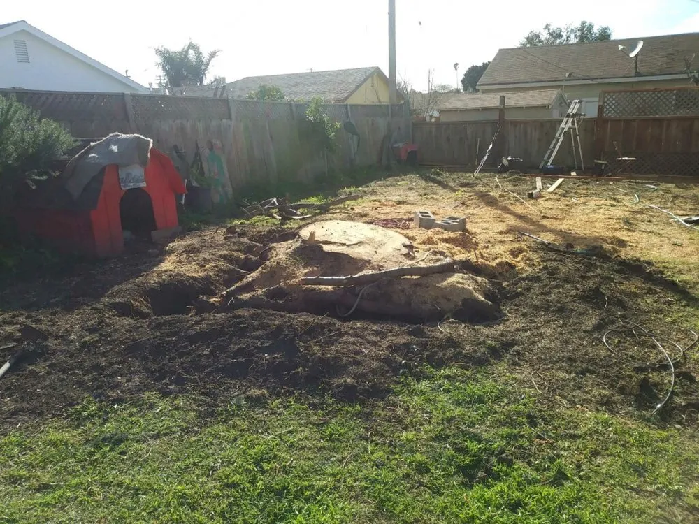 Reliable lawn mowing service for homes across Salinas, CA - Waddell's Yard & Tree Service