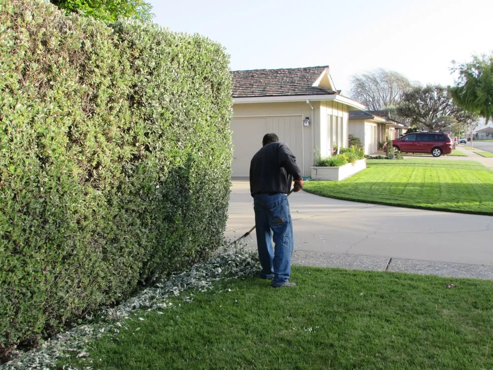 Trusted residential landscaping for year-round maintenance across Salinas, CA - Waddell's Yard & Tree Service