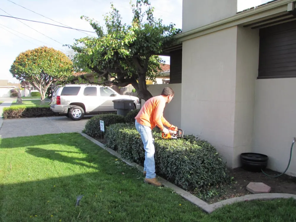 Professional lawn care service experts serving Salinas, CA - Waddell's Yard & Tree Service