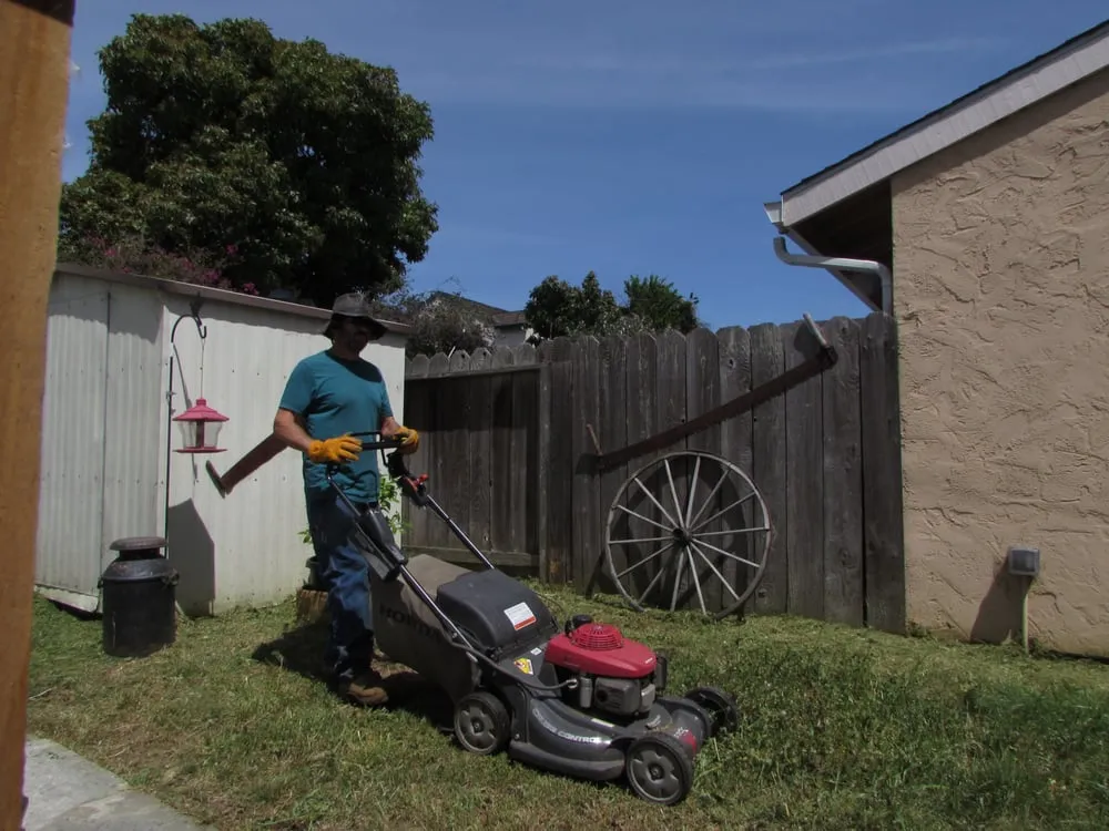 Custom landscape design in Salinas, CA - Waddell's Yard & Tree Service