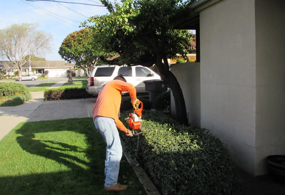 Custom lawn mowing service in Salinas, CA - Waddell's Yard & Tree Service