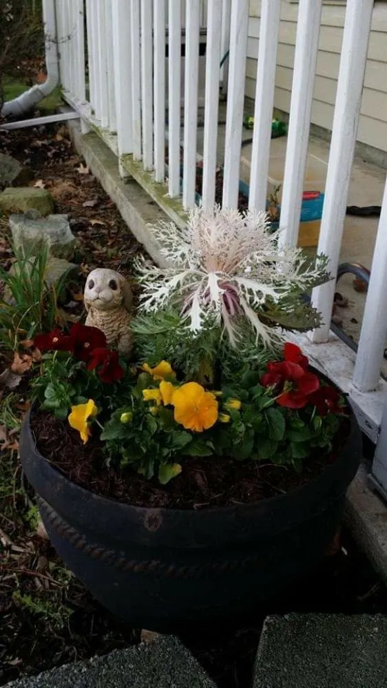 Local yard cleanup service near you across Virginia Beach, VA - Waddill & Co. Lawn and Landscaping