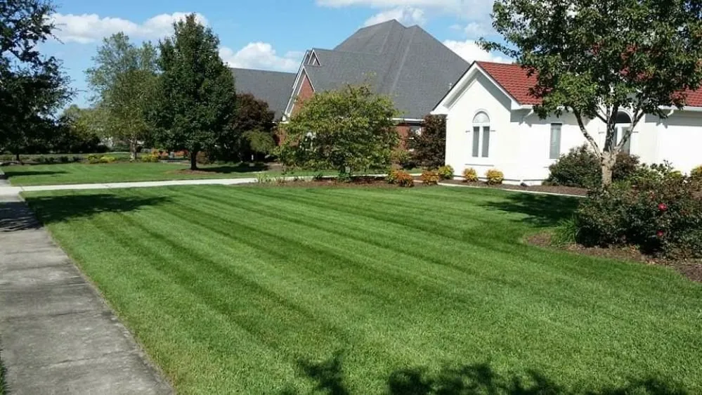 Expert yard maintenance in Virginia Beach, VA by Waddill & Co. Lawn and Landscaping