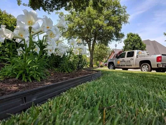 Waddill & Co. Lawn and Landscaping Logo