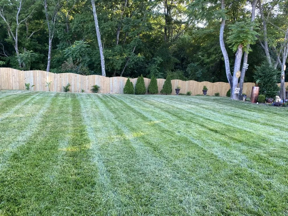 Expert landscaping services in Richmond, VA - Waddy's Lawncare & Landscape