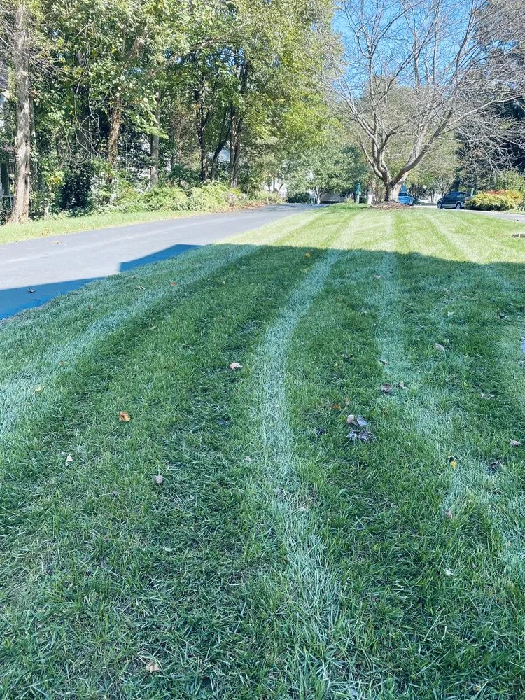 Expert lawn care service for outdoor upgrades across Richmond, VA - Waddy's Lawncare & Landscape