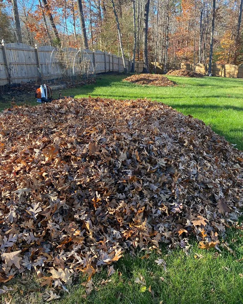 Expert residential landscaping experts serving Richmond, VA - Waddy's Lawncare & Landscape