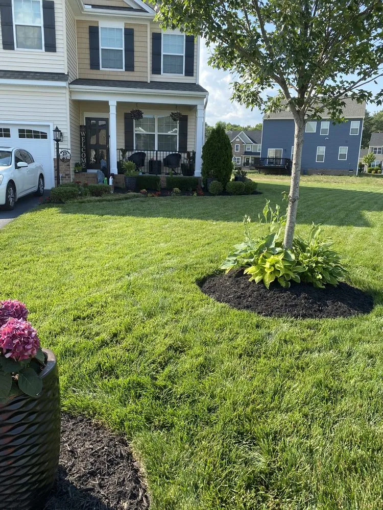 Trusted yard maintenance in Richmond, VA - Waddy's Lawncare & Landscape