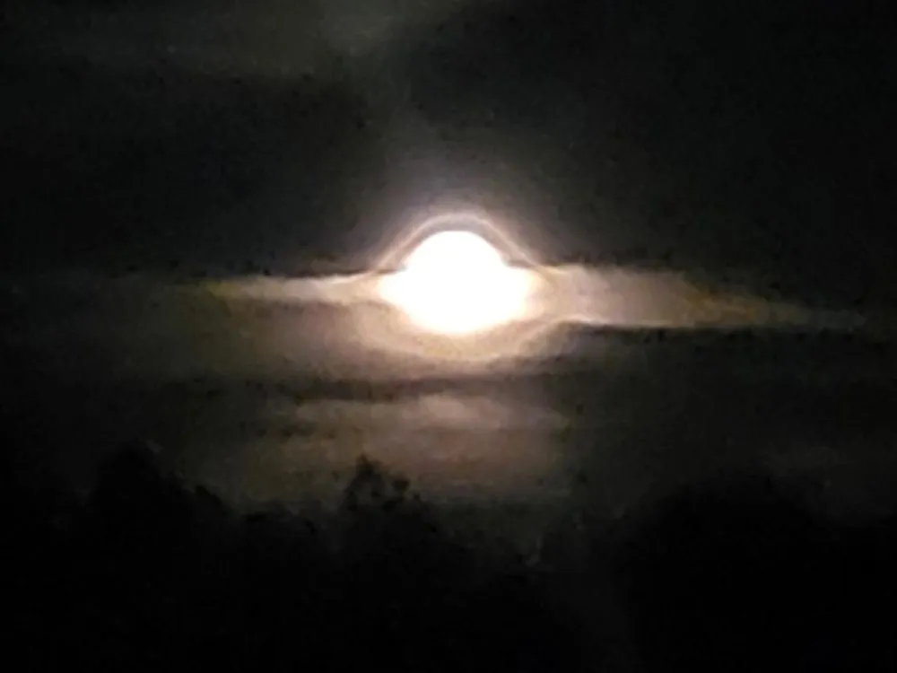 Top-rated residential landscaping experts serving Brandon, MS - Wade In The Water Irrigation And Landscape