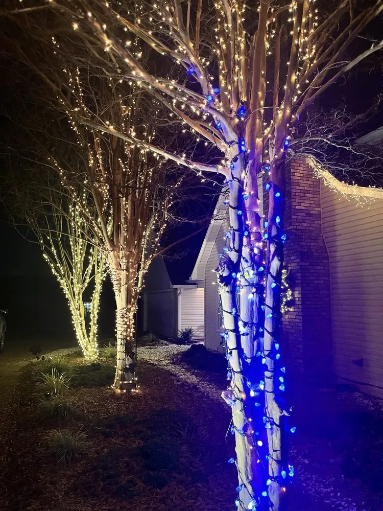 Expert lawn mowing service in Brandon, MS by Wade In The Water Irrigation And Landscape