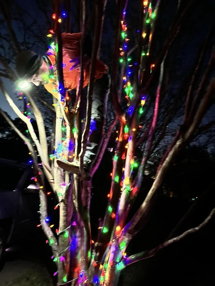 Professional outdoor landscaping for beautiful yards across Brandon, MS - Wade In The Water Irrigation And Landscape