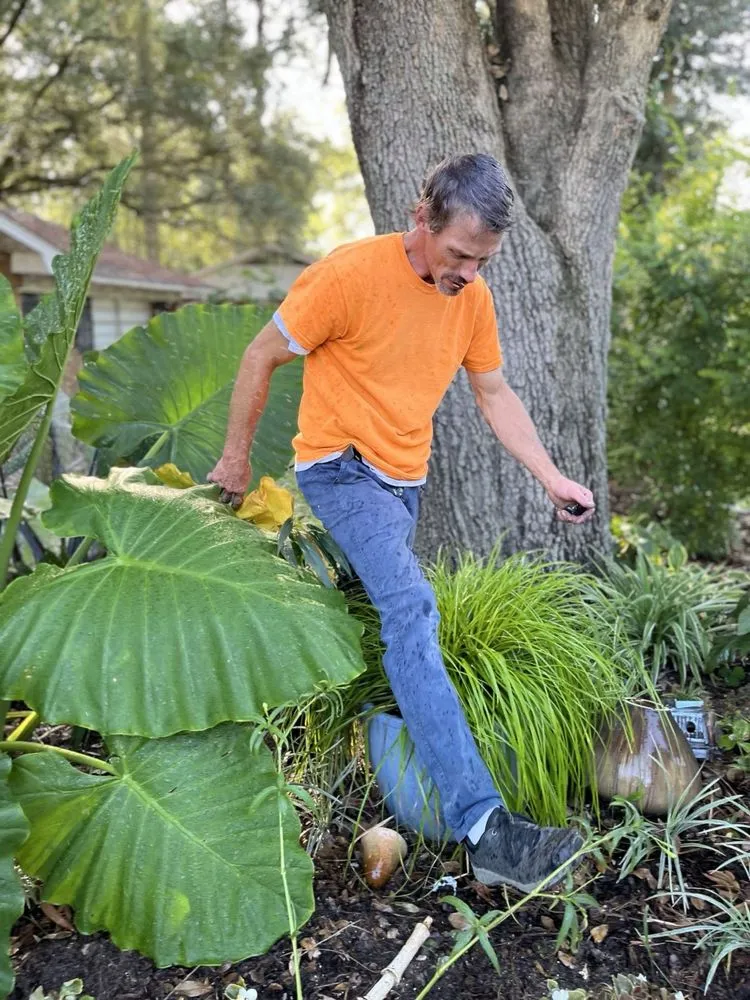 Affordable landscape design near you in Brandon, MS by Wade In The Water Irrigation And Landscape