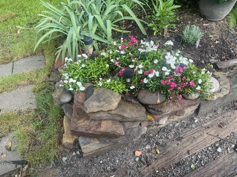 Custom landscape installation in Brandon, MS - Wade In The Water Irrigation And Landscape