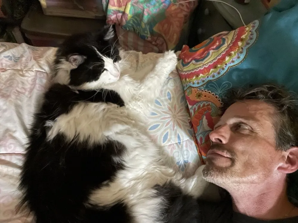 Expert landscape installation near you across Brandon, MS - Wade In The Water Irrigation And Landscape