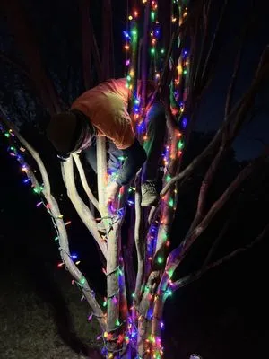 Wade In The Water Irrigation And Landscape Logo