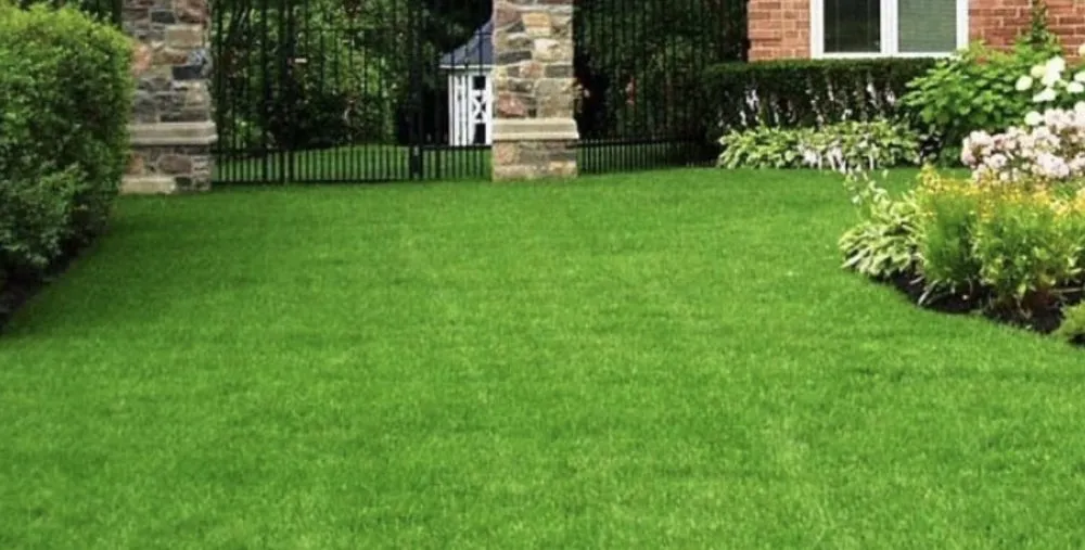 Custom outdoor landscaping for outdoor upgrades in Havana, FL by Wade Kelly's Lawn Care